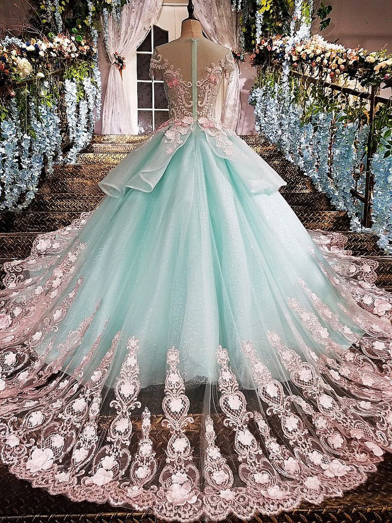 Princess Ball Gown Flower Appliques Prom Dress,Quinceanera Dresses PFP ...